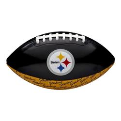Pittsburgh Steelers Wilson Nfl City Pride No. 3 Football