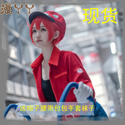 taobao agent Spot work cell COSPLAY red blood cells white blood cells white blood plate platelet uniform set fake