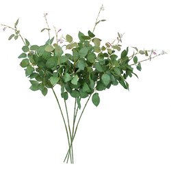Single simulated rose fake leaf green plant with flowers
