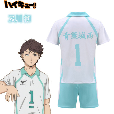 taobao agent Volleyball young COS Qingye City West Universities and Chuanjishanquan Yijie Team Service Two -dimensional Animation Sports Uniform