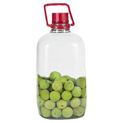Portable sealed tank wine soaking oil barrel glass storage tank