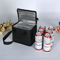 Functional Cooler Bag Picnic Lunch Insulated Foldable Ice Pa