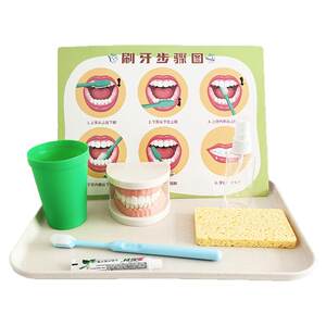 
Montessori Children's Teaching Aids for Learning Tooth Model Early Education Training Kindergarten Living Area Materials