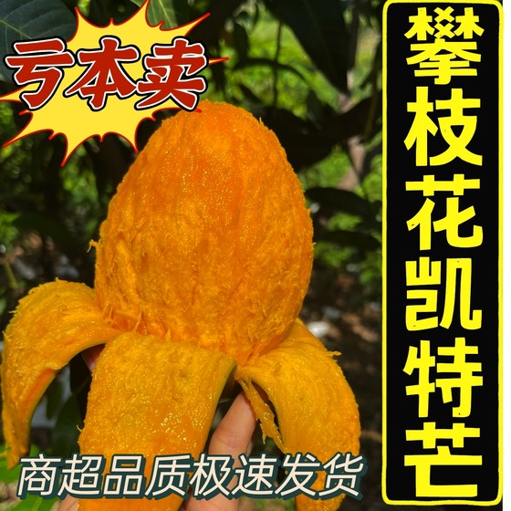 攀枝花现货一级现摘青皮凯特特大芒果当季孕妇鲜果10斤整箱包邮