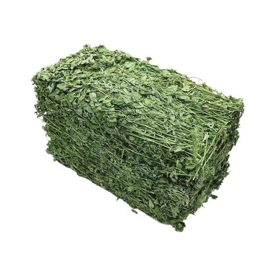 2025 dry large-leaf alfalfa grass feed Beiti pet rabbit guinea pig Dutch pig chinchilla young rabbit hay