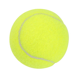 Tianlong non-standard tennis foreign trade A-level non-standard tennis junior advanced training ball for college students' physical education classes