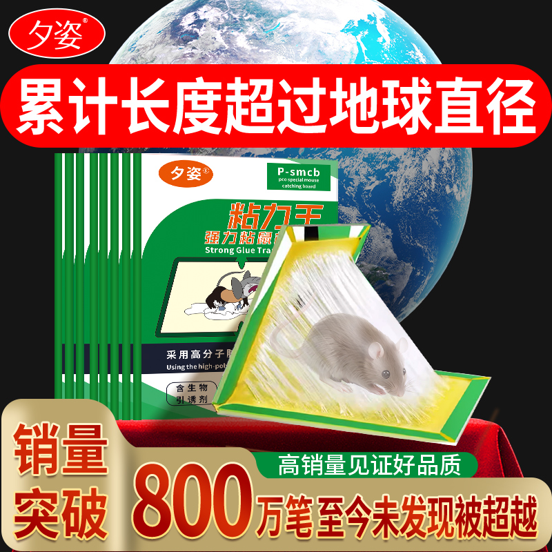 超强力粘鼠板捉粘大老鼠贴沾胶抓灭鼠老鼠贴超强杀鼠家用捕鼠神器 13.1元