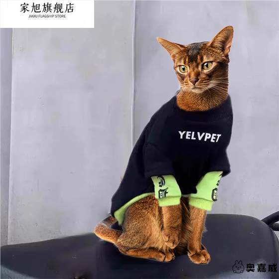 阿比西尼亚猫专用衣服猫咪冬天冬季穿的加绒幼猫宠物秋装帅气公猫