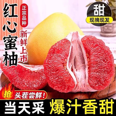 2026年8月20日更新【万能白菜价】的图片 第24张