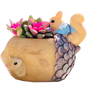 Home Cartoon Nut Resin Graduation Season Succulent Flower Pot