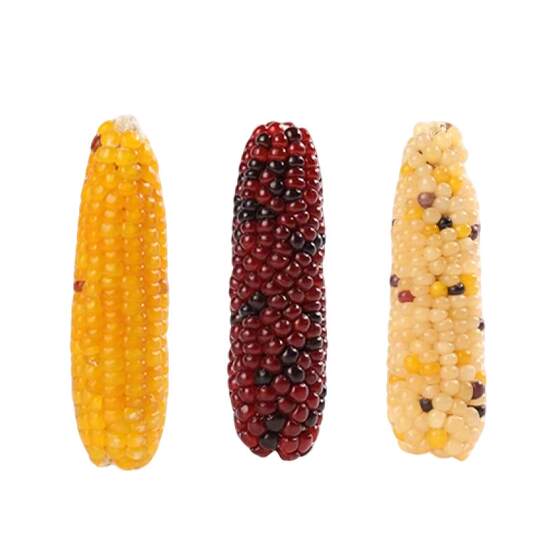 
Hamster molar stick edible corn golden bear special bite-resistant artifact guinea pig chinchilla nutritious grain feed