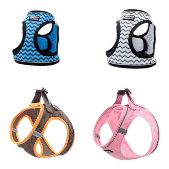 Cat traction rope prevents breaking and going out special cat rope belt prevents walking cat rope prevents breaking and walking kitten walking magic weapon
