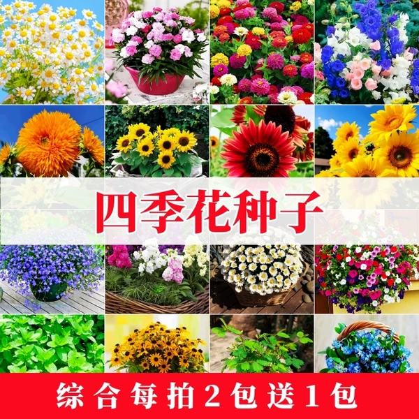 Товары от 天天特卖工厂