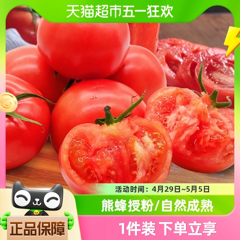 【绿行者】桃太郎番茄礼盒新鲜西红柿12枚装自然成熟孕婴可食