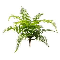 Simulated fern mazui wood landscaping green plant fake