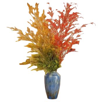 
SF Express delivers gold fragrant willow and melaleuca gold flowers