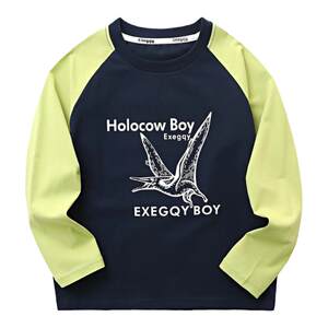
Boys' long-sleeved T-shirt pure cotton 2026 spring and autumn new style medium and large boys' round neck bottoming shirt children's tops 1829