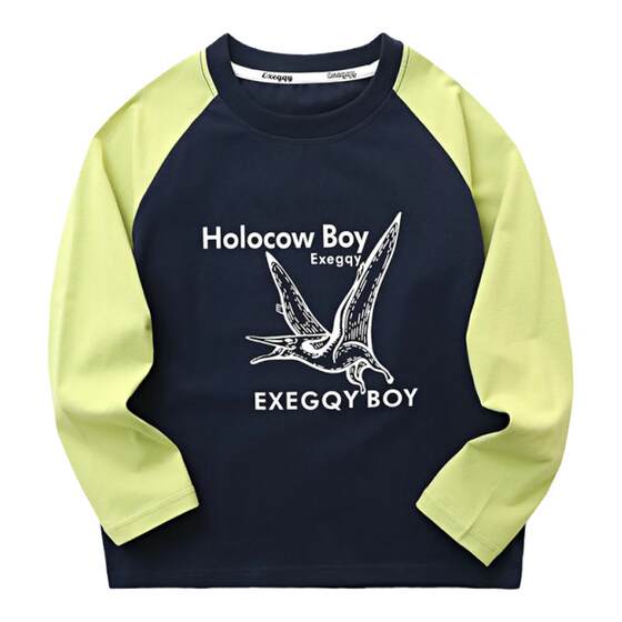 
Boys' long-sleeved T-shirt pure cotton 2026 spring and autumn new style medium and large boys' round neck bottoming shirt children's tops 1829