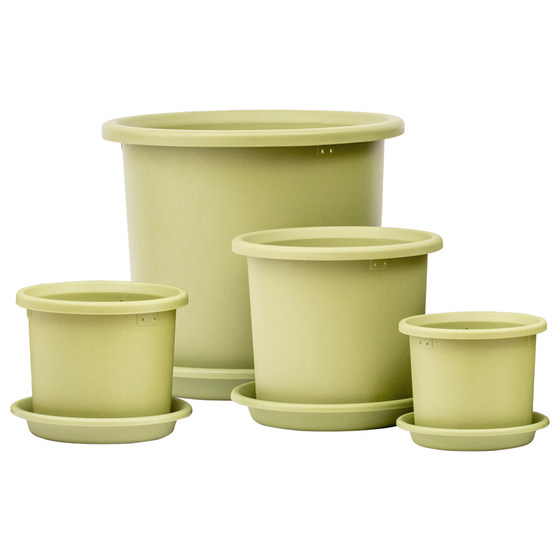 Alice Deepot rose special succulent fortune tree household gallon resin plastic breathable Alice flower pot