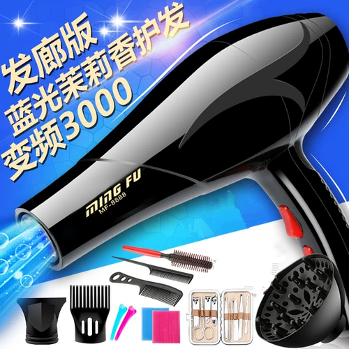 Mingfu для волос с высокой домохозяйством 3000 Вт.