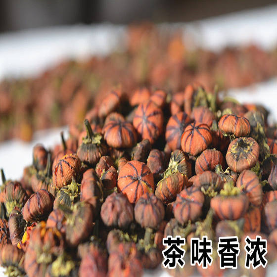 雪菊胎菊昆仑类野生种植特级500g正品天山新疆胎菊血菊花茶无硫