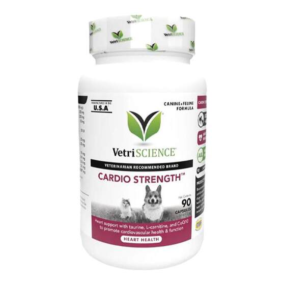 
VetriScience Pet Master Cats and Dogs Protect Heart Heart Hypertrophy VS Coenzyme Q10 Health Products