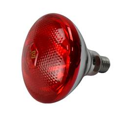 [Factory Direct Sales] Special Insulation Lamp for Breeding Farm