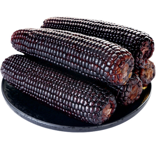 
2025 New Corn Northeast Black Glutinous Corn Fresh First Stubble Vacuum Yellow Glutinous Sweet Slime Slime Slime Corn Coarse Grain