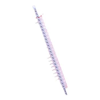 Straw Cleaning Brush Small Teapot Spout Baby Pacifier