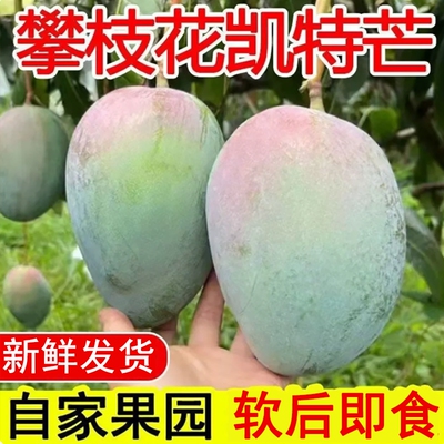 2026年9月4日更新【万能白菜价】的图片 第22张