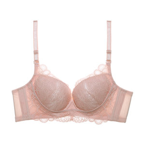 
[Lighty Cup] Eve Secret Girl Lace Sexy Small Boobs Large Collection Underwear Anti-Sagging Breathable Underwear Underwear