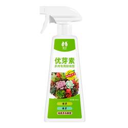 Lingwo Eubudsu Succulent Special Plant General Exploded Buds