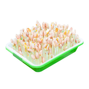 Peanut sprout planting plate box special seed seed soilless planting hydroponics box hair growth bean sprout seedling planting machine seedling pot