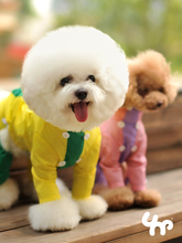 Новый костюм для собак UNPET водонепроницаемый от дождя и снега модный плащ скрытая шляпа