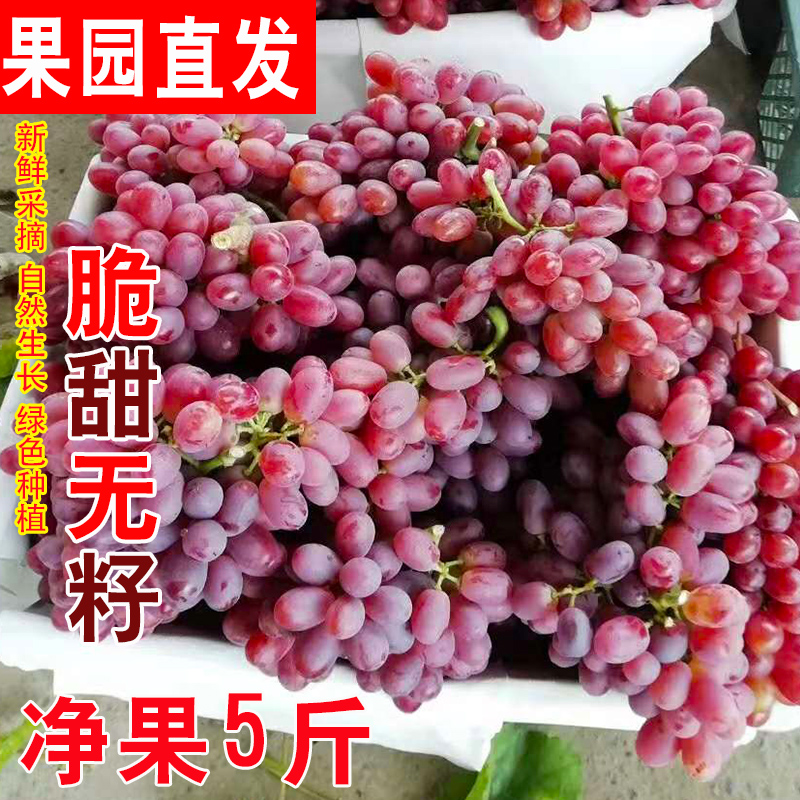 精品克伦生葡萄新鲜新疆无籽红提子红宝石葡萄脆甜无核孕妇水果