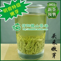 Чай Синь Ян Мао Цзян, зеленый чай, весенний чай, коллекция 2023