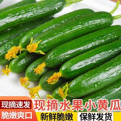 2026年4月18日更新【万能白菜价】的图片 第21张