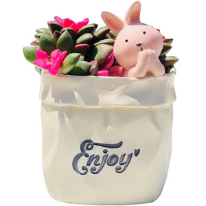 
Succulent flower pot resin creative cute small animal Nordic ins wind desktop small pot plant gift healing ornament