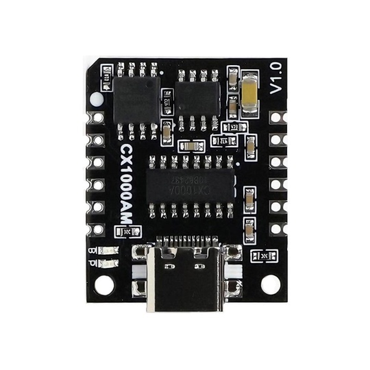 Module Chip Giọng nói MP3 Serial Anasweeney CX1000AM - Phát âm thanh ...