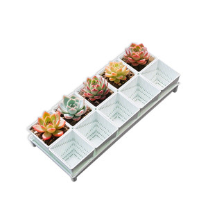 Beauty Polynuts Special Flower Pot Trumpet White Resin Set Exquisite Plant Control Plastic Shelf base tray