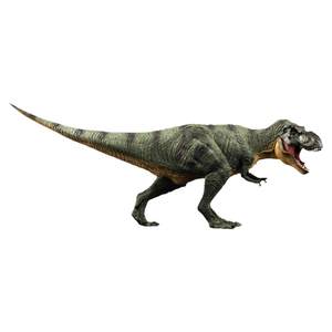 
Tongde genuine dinosaur model plastic simulation animal children's toy Tyrannosaurus Triceratops pterosaur boy set