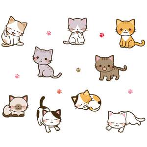 
Pet shop catering convenience store glass window sliding door decoration sticker self-adhesive electrostatic cat and dog sticker door sticker