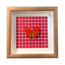 Vynikající Vzor Motýla Dekorativní Malba červená Pfaff Fotorámeček Ozdoby Z Masivního Dřeva Skleněný Trojrozměrný Rám Jako Novoroční Dárek