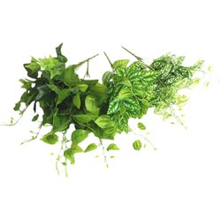 Turtle leaf Chlorophytum flower arrangement simulated green plants