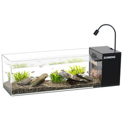 New stream tank ecological landscaping turtle breeding tank