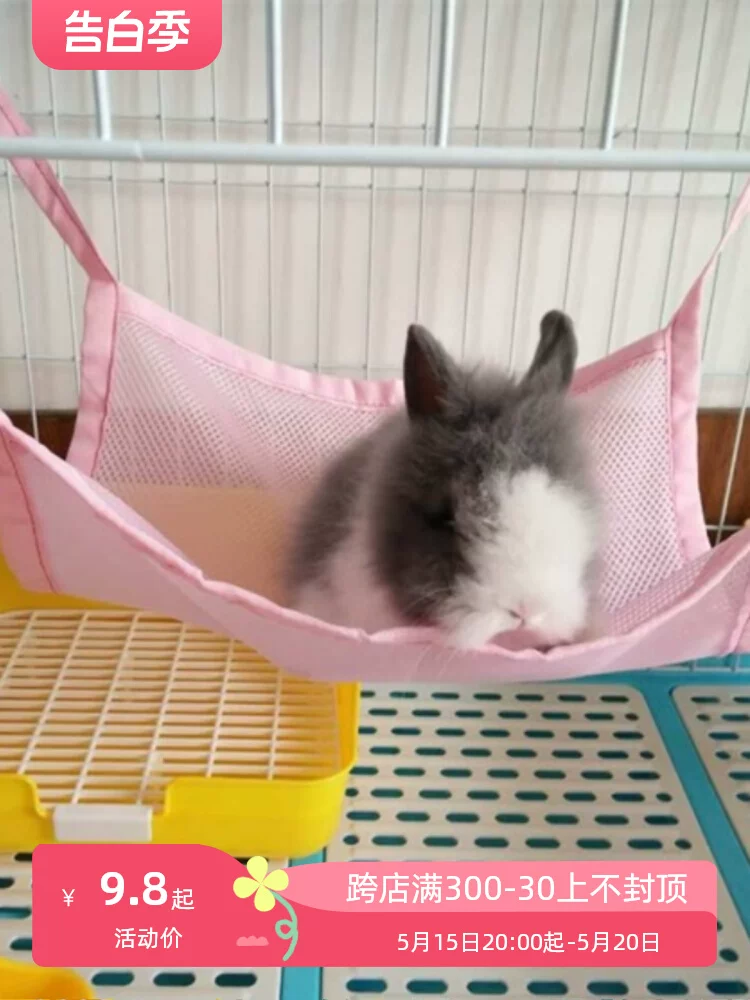 Кролик, летние универсальные качели, котёнок, питомец