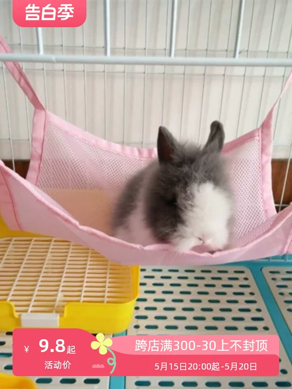 Кролик, летние универсальные качели, котёнок, питомец