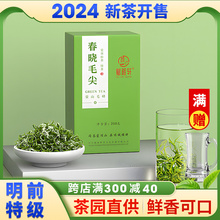 Mengding Mountain Tea Green Tea 2024 New Tea Spring Dawn Maojian