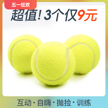 Интерактивная тренировка собак теннис