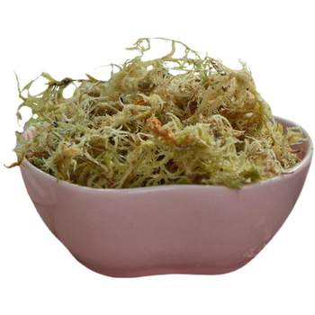 Sphagnum special nutrient soil moss dendrobium orchid plant